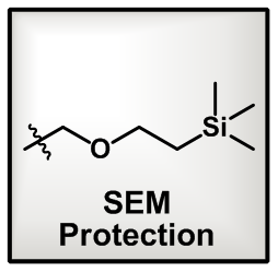 SEM Protection